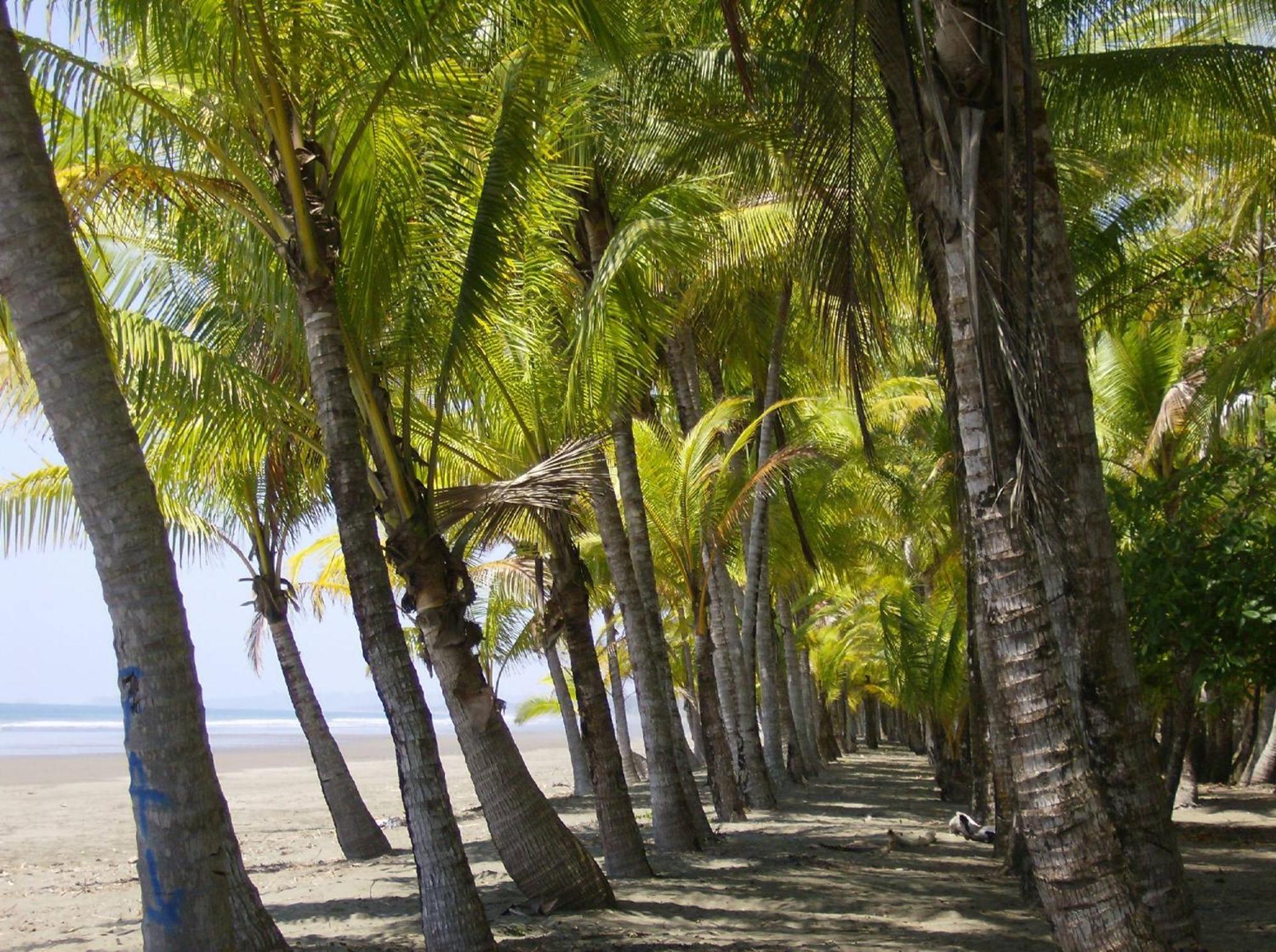 La Palapa Ecolodge Portalón Buitenkant foto