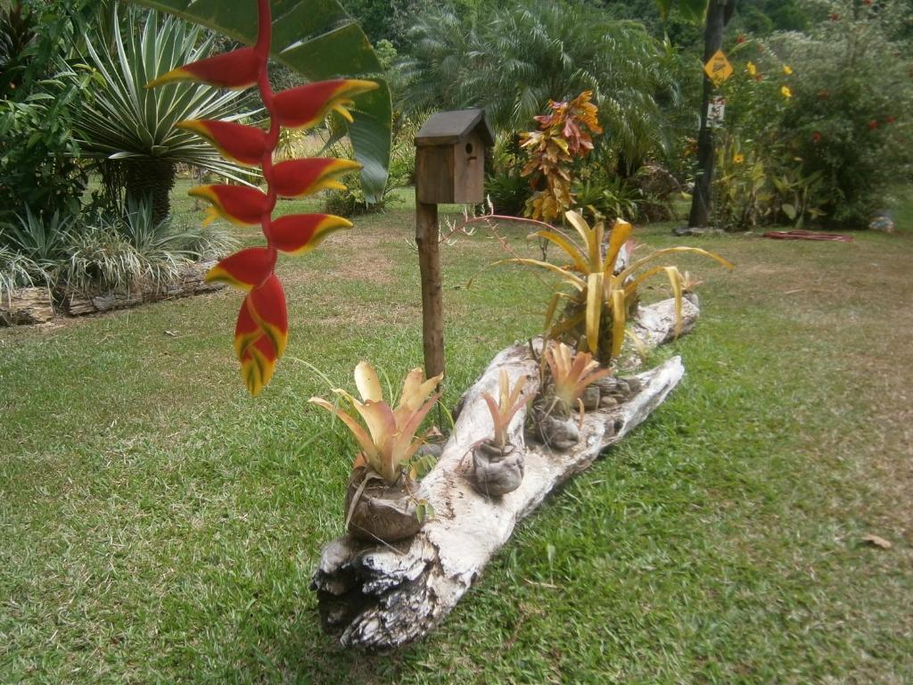 La Palapa Ecolodge Portalón Buitenkant foto